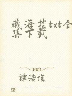 藏海花txt全集下载封面