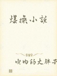爆操小说