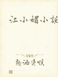 江小媚小说封面