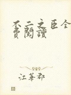 不二之臣全文免费阅读封面
