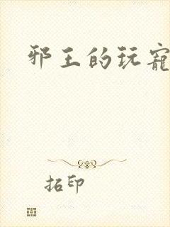邪王的玩宠