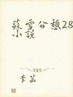 苏雪公憩28篇小说封面
