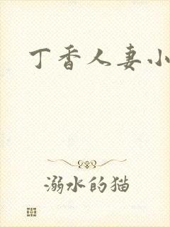 丁香人妻小说封面