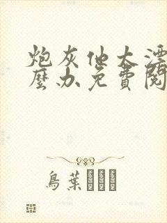 炮灰他太漂亮怎么办免费阅读封面