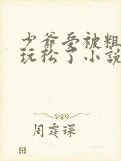 少爷受被粗汉H玩松了小说封面