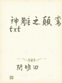 神雕之颠鸾倒凤txt