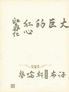 紫红的巨大顶开花心封面