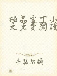 极品家丁小说全文免费阅读