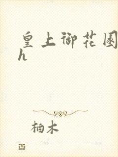 皇上御花园hlh封面