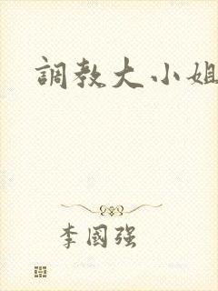 调教大小姐封面
