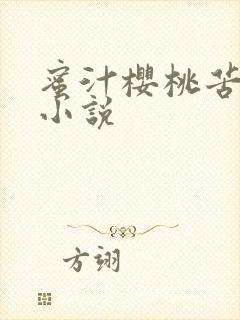 蜜汁樱桃苦咖啡小说封面