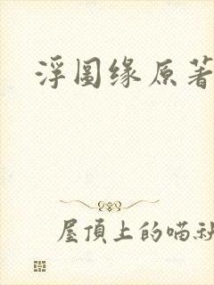 浮图缘原著小说
