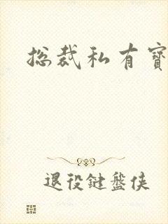 总裁私有宝贝