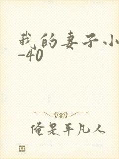我的妻子小谨1-40