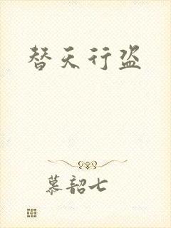 替天行盗