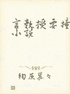 言教授要撞坏了小说封面