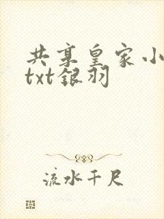 共享皇家小公主txt银羽