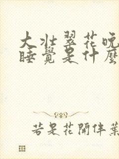 大壮翠花晚上不睡觉是什么电视剧