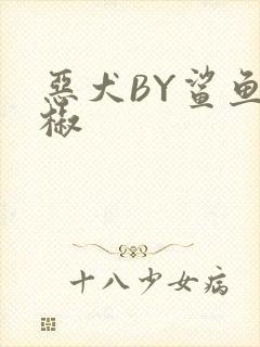 恶犬BY鲨鱼辣椒