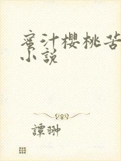 蜜汁樱桃苦咖啡小说