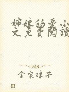 婶娘的爱小说全文免费阅读