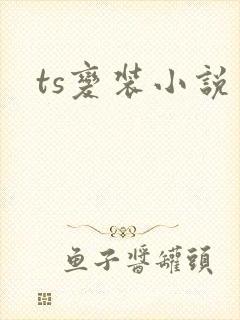 ts变装小说