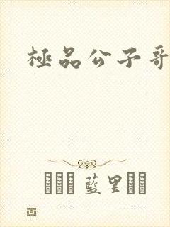 极品公子哥