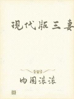现代版三妻四妾