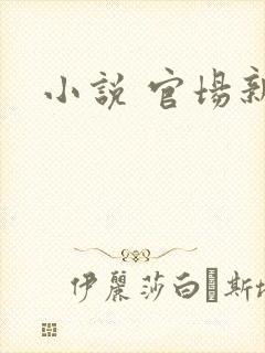 小说 官场新贵