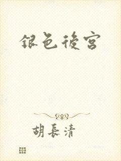 银色后宫封面