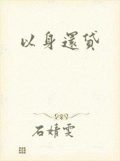 以身还贷封面