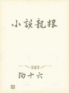 小说龙根