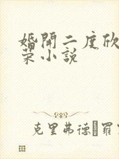 婚开二度欣欣向荣小说