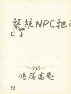 系统NPC把我c了