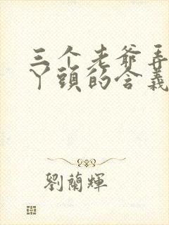 三个老爷弄一个丫头的含义封面