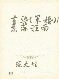 有染(军婚)/叶落淮南