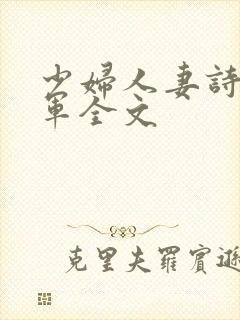 少妇人妻诗雨小军全文封面