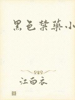黑色禁药小说