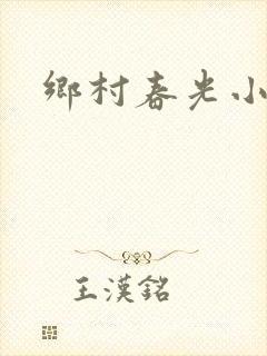 乡村春光小说