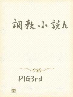 调教小说h