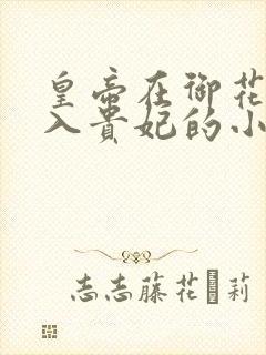 皇帝在御花园进入贵妃的小说