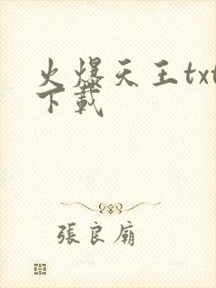 火爆天王txt下载