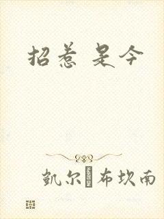招惹 是今封面