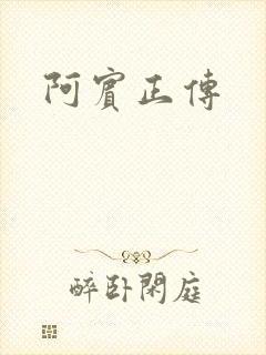 阿宾正传