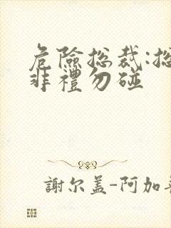 危险总裁:总裁非礼勿碰