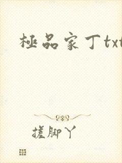极品家丁txt