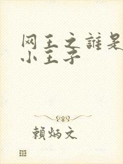 网王之谁是我的小王子封面
