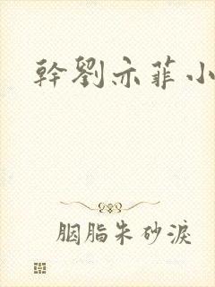 干刘亦菲小说