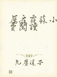 厉夜霆苏小汐免费阅读