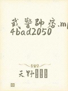 武警帅痞.mp4bad2050